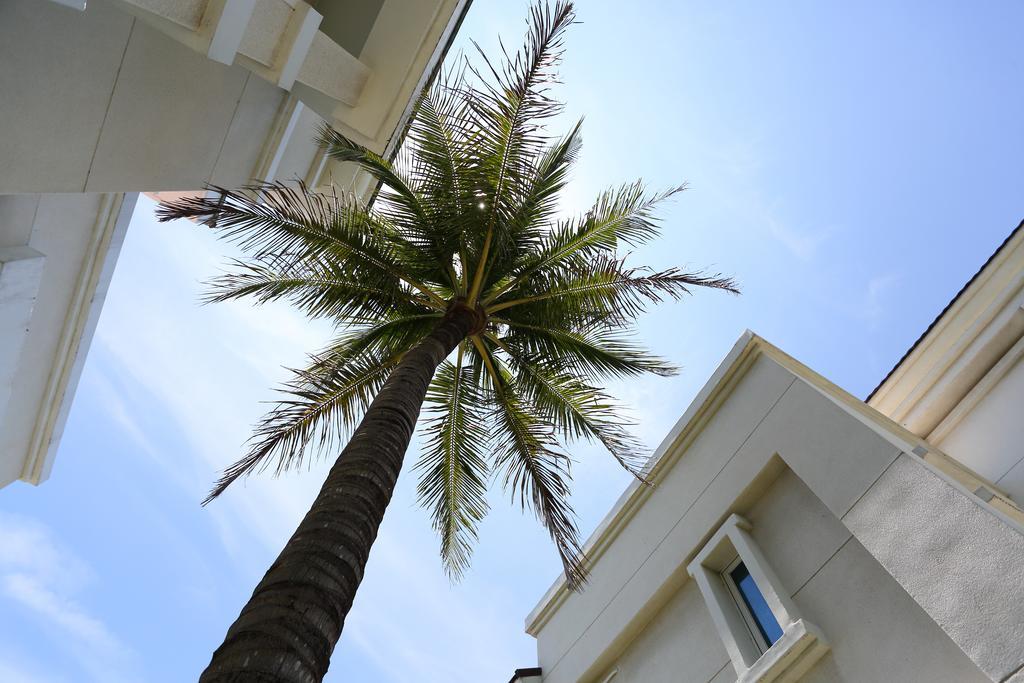 Xincheng Township Taroko Bay B&B מראה חיצוני תמונה